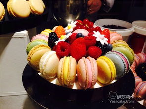 SIRHA 2015 探索里昂國際餐飲酒店食品展的創新盛宴